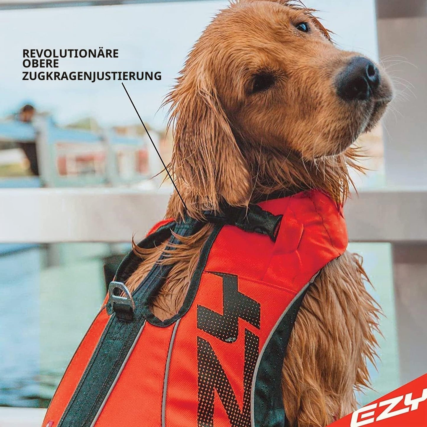 Hundeschwimmweste DFD X2 Boost, Rosa XS
