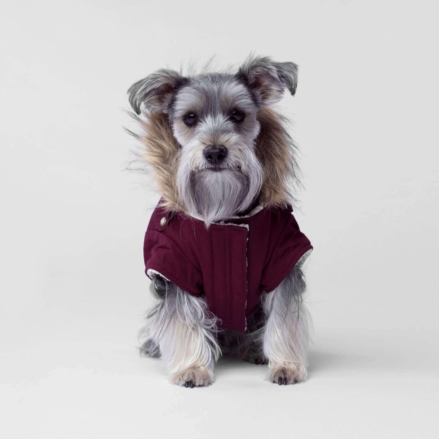 Winterparka für Hunde, kastanienbraun Size 12 W