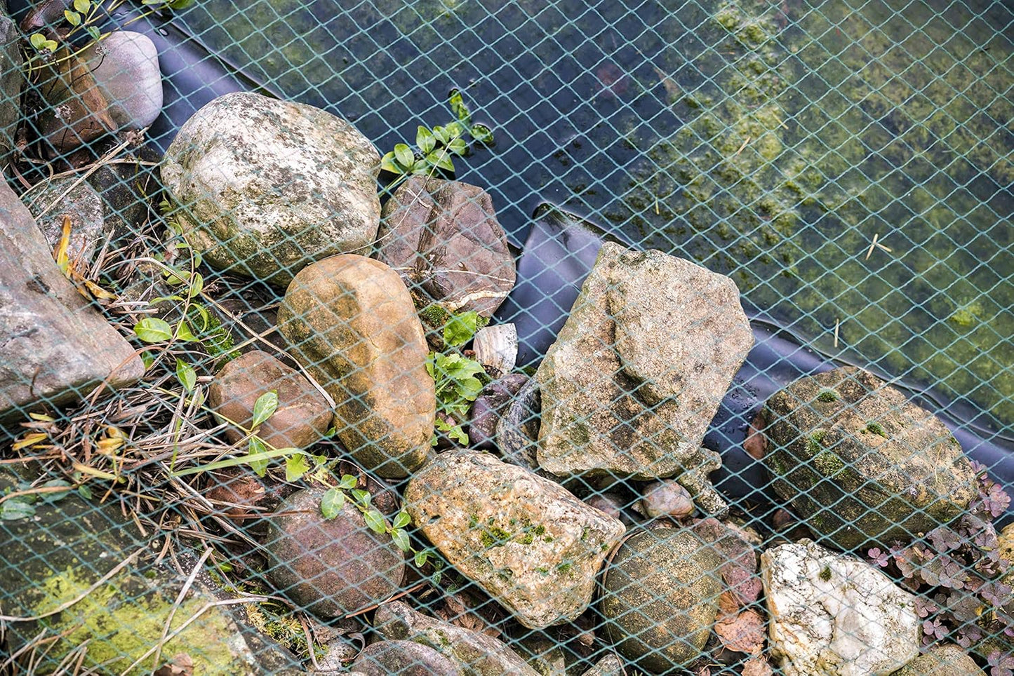 Engmaschiges Teichnetz 15 mm, 24m 16m Breit Grün