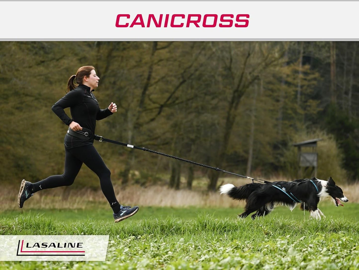 Zuggeschirr X Back für Canicross & Hundesport, S