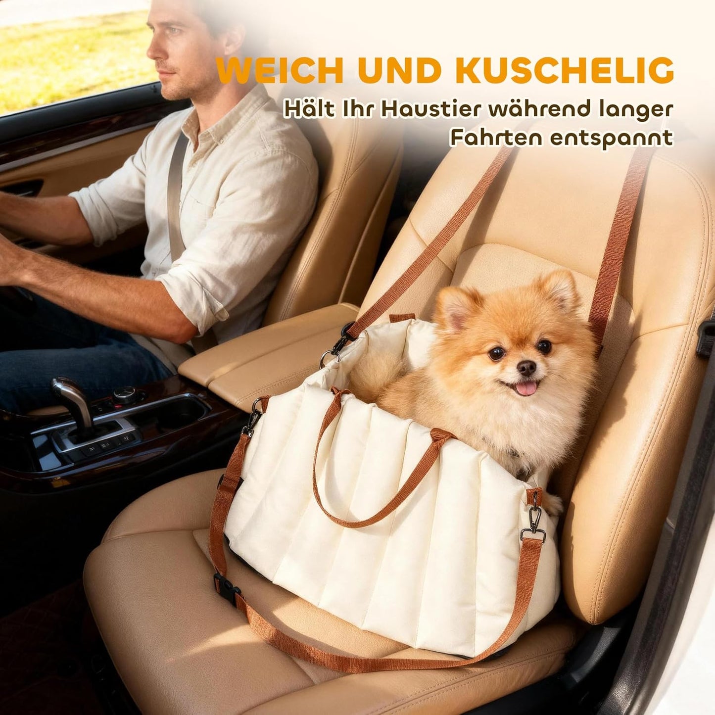 Hundetragetasche mit Sicherheitsgurt