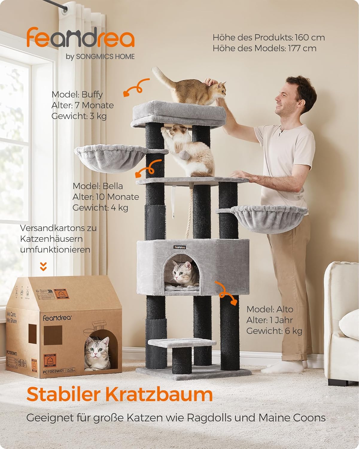 Kratzbaum, taubengrau + schwarz