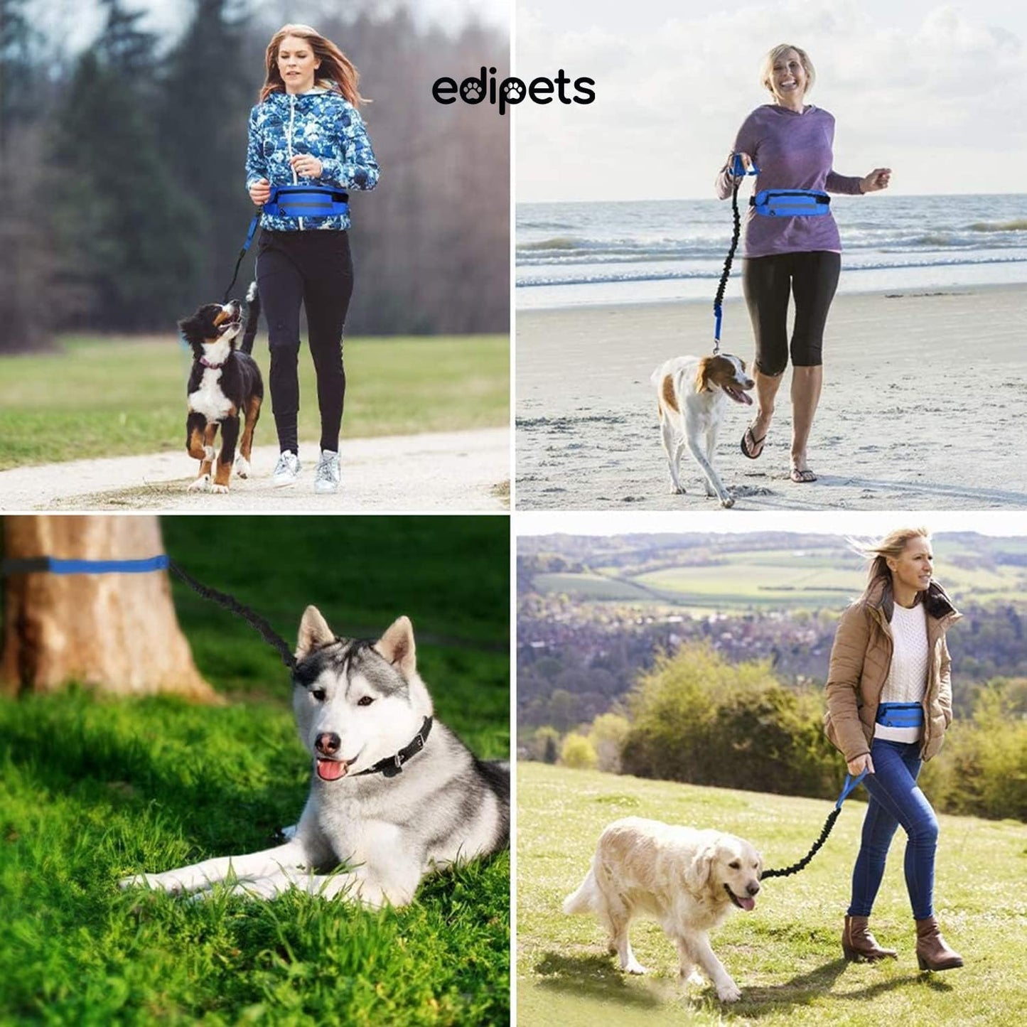 ‎EDI-C011-BN Joggingleine, 160-220 cm, reflektierend, Blau, 1.60 meters