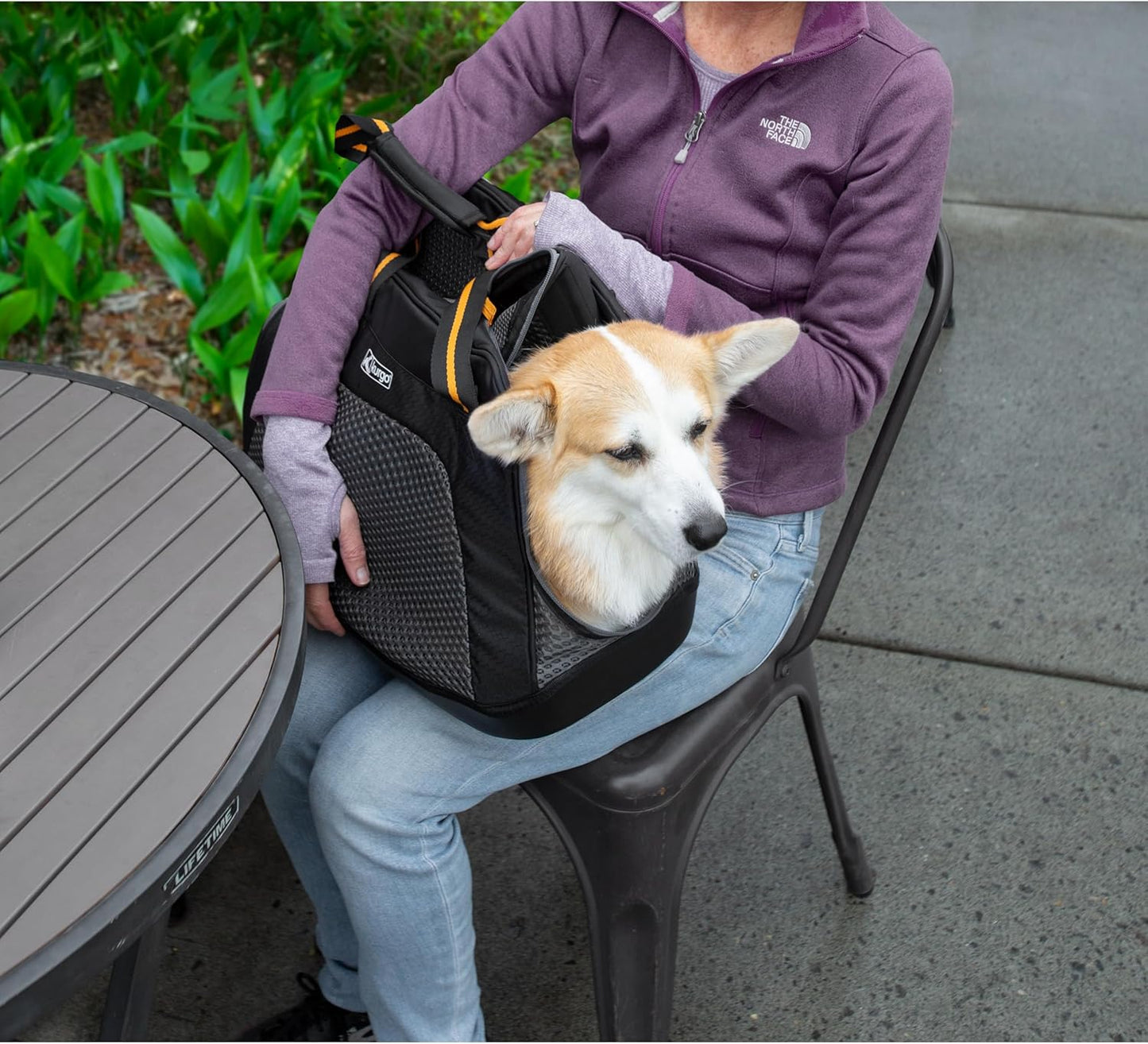 Transporttasche für Hunde, Schwarz Gross