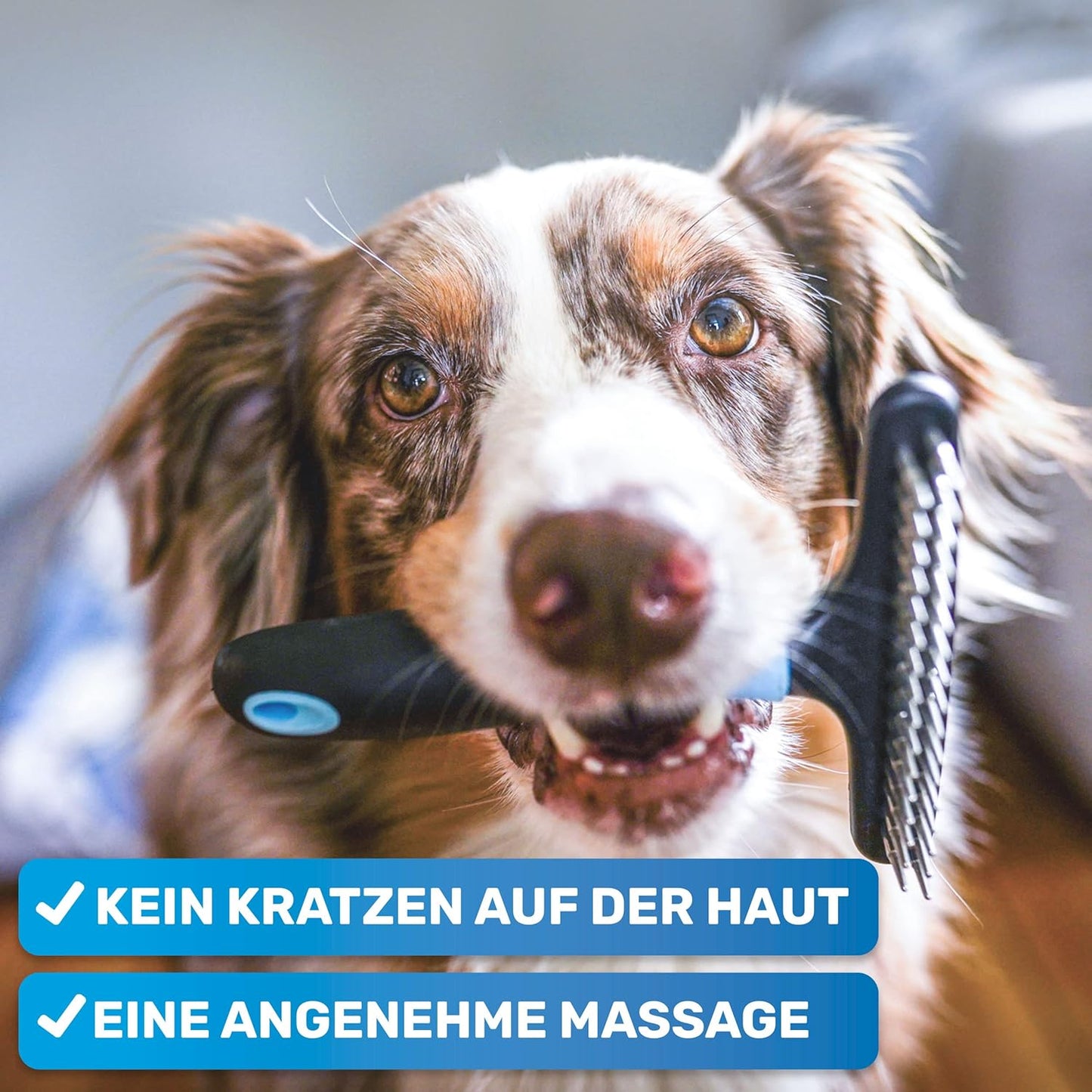 Fellentwirrer / Entfilzer für Langhaar-Haustiere, Version 1.0 Rosa