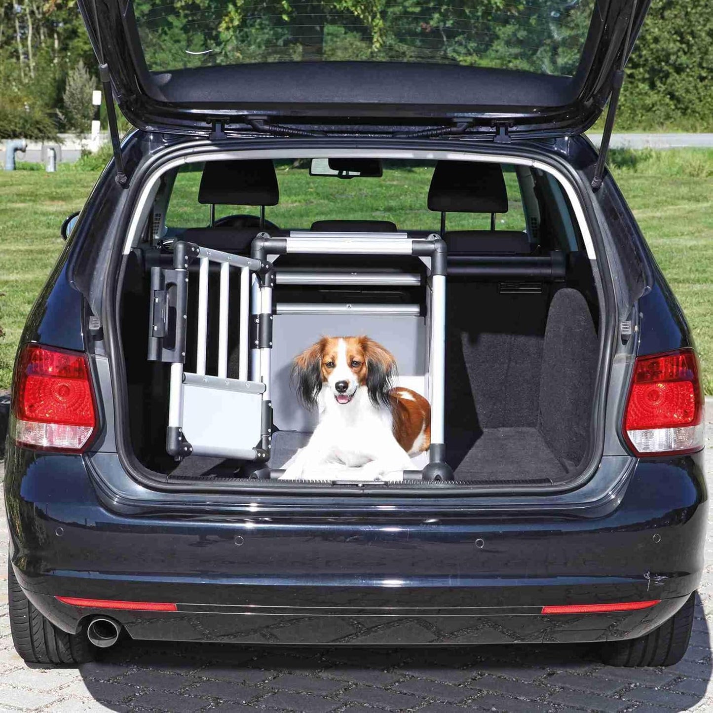 Hunde-Transportbox, L 78 x B 55 x H 62 cm, silber, Einzel-Box