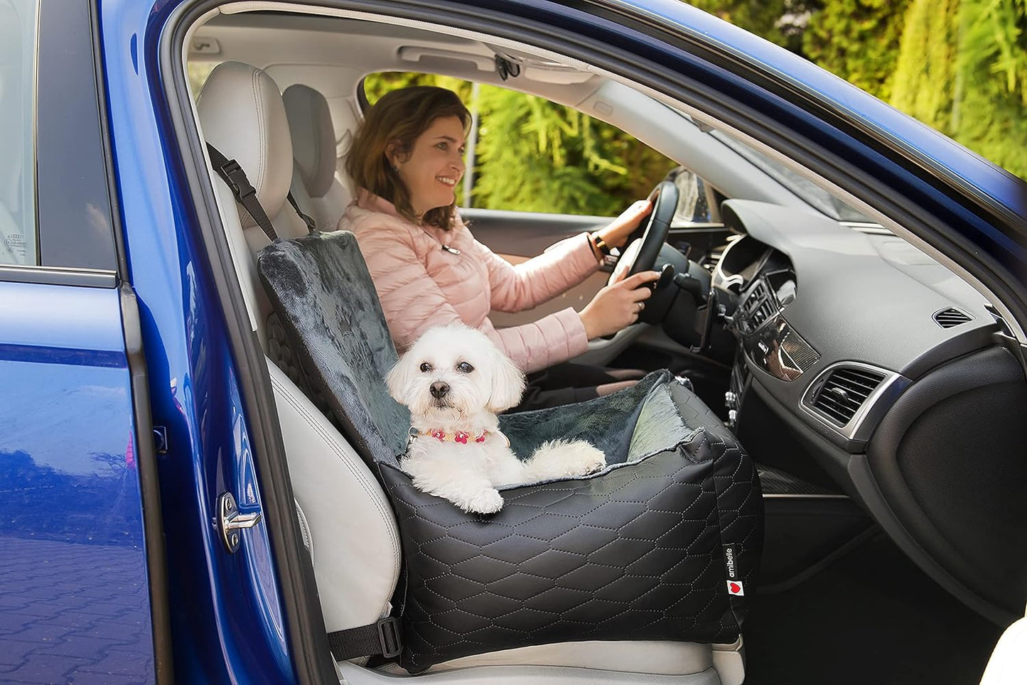 Autositz für Hunde, Bella Schwarz