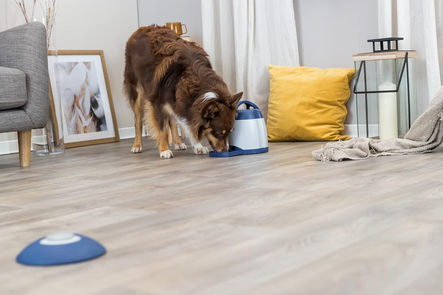Dog Activity Memory Trainer 3.0 Intelligenzspielzeug