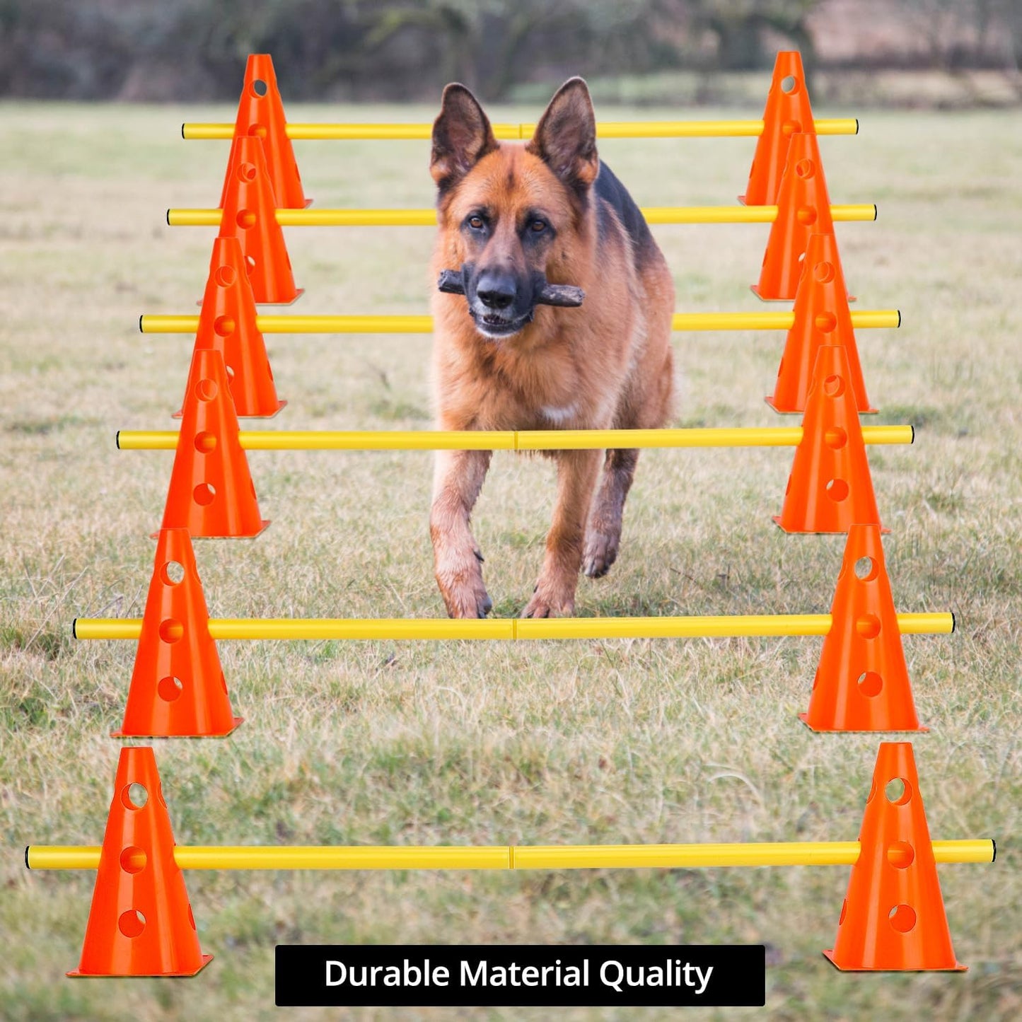 Steckhürdenset für Agility
