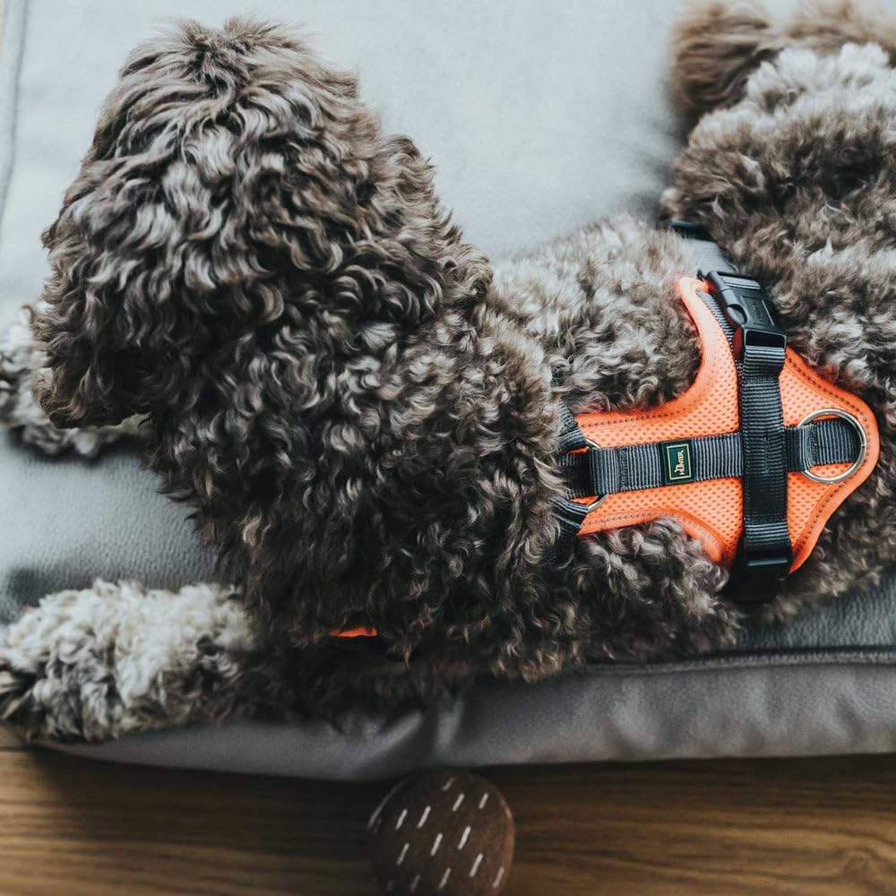 Hundegeschirr Maldon UP, weich gepolstert, reflektierend, orange/grau XS-S
