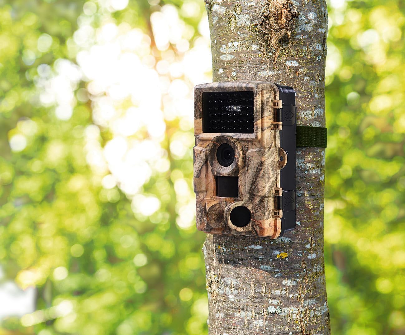 WLAN-Full-HD-Wildkamera mit Nachtsicht und App