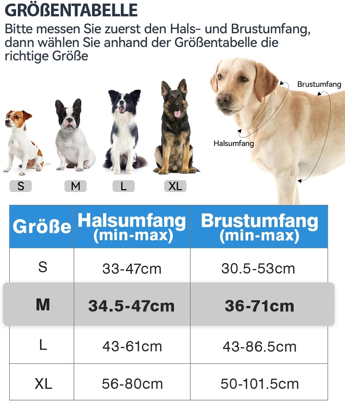 Reflektierendes Hundegeschirr, M (1er Pack) Blau
