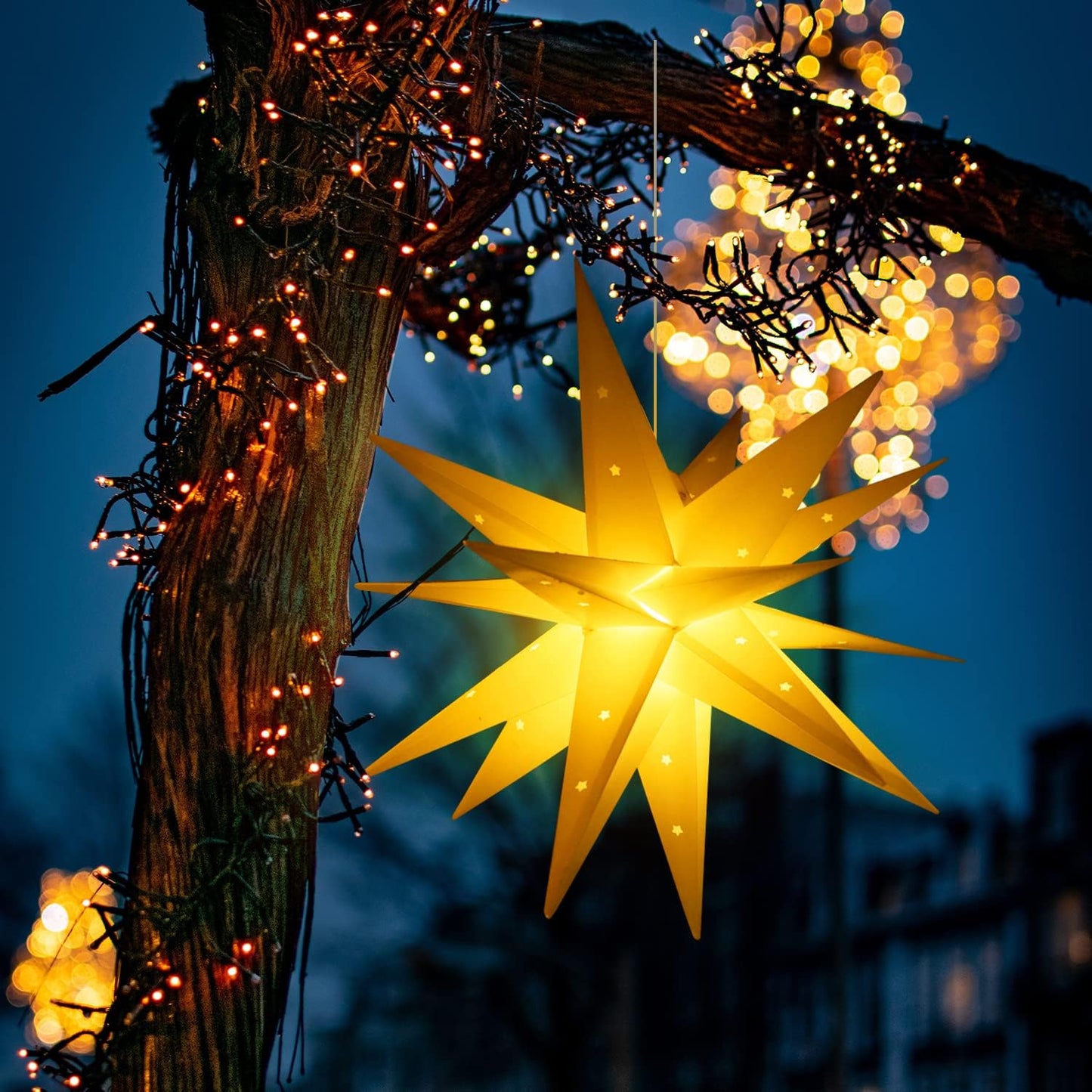 Weihnachtsstern