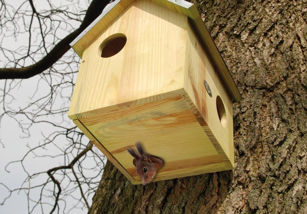 Futterhaus Eichhörnchen