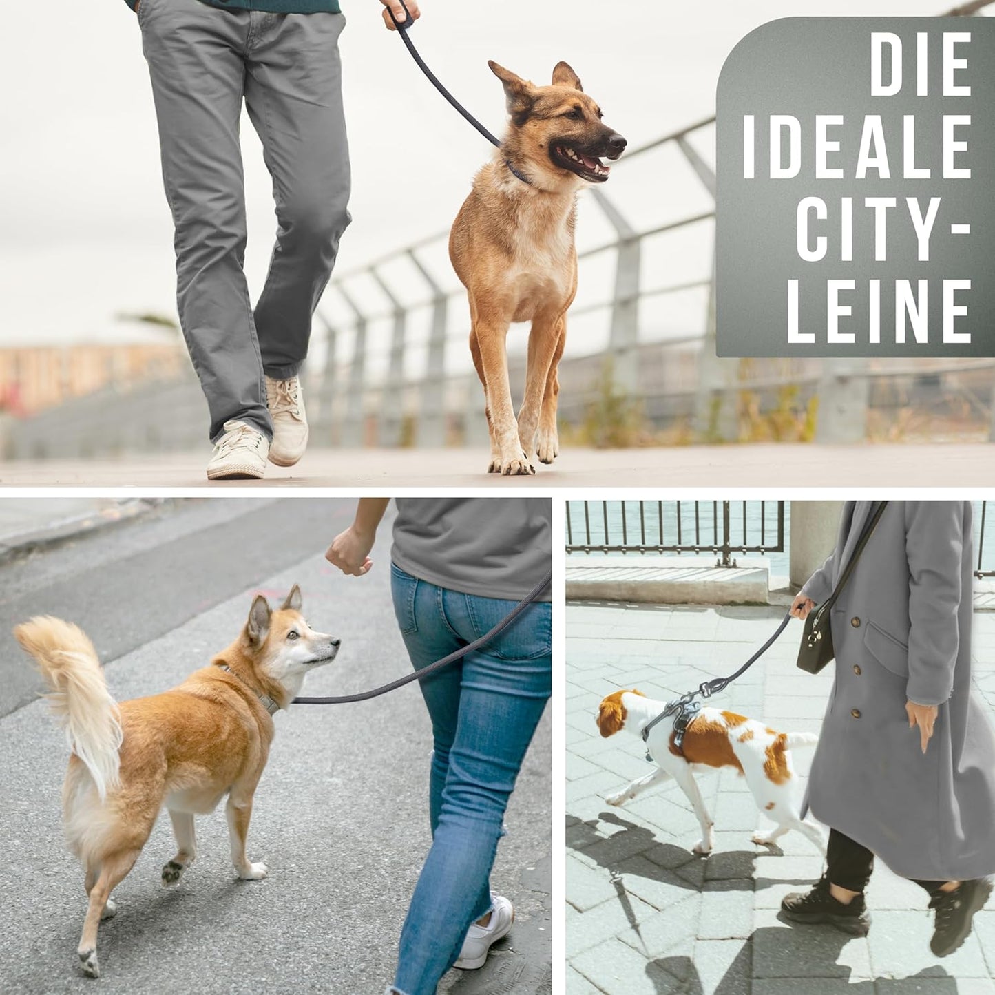 Tauleine für Hunde, 170 cm ANTHRAZIT