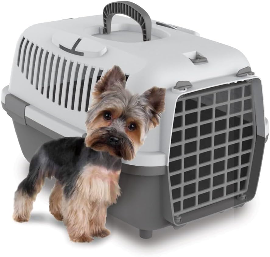 Hundetransportbox für kleine Hunde & Katzen, L 48 x B 32 x H 32 cm Grau