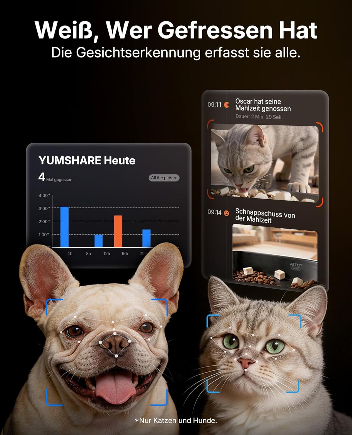 YumShare Dual-Hopper 2 mit Kamera und KI-Funktion
