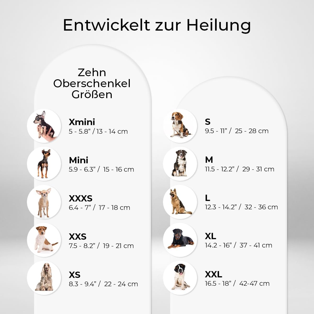 Kniebandage für Hunde hinten rechts, Rechtes Bein X-Small (22 – 24 cm)