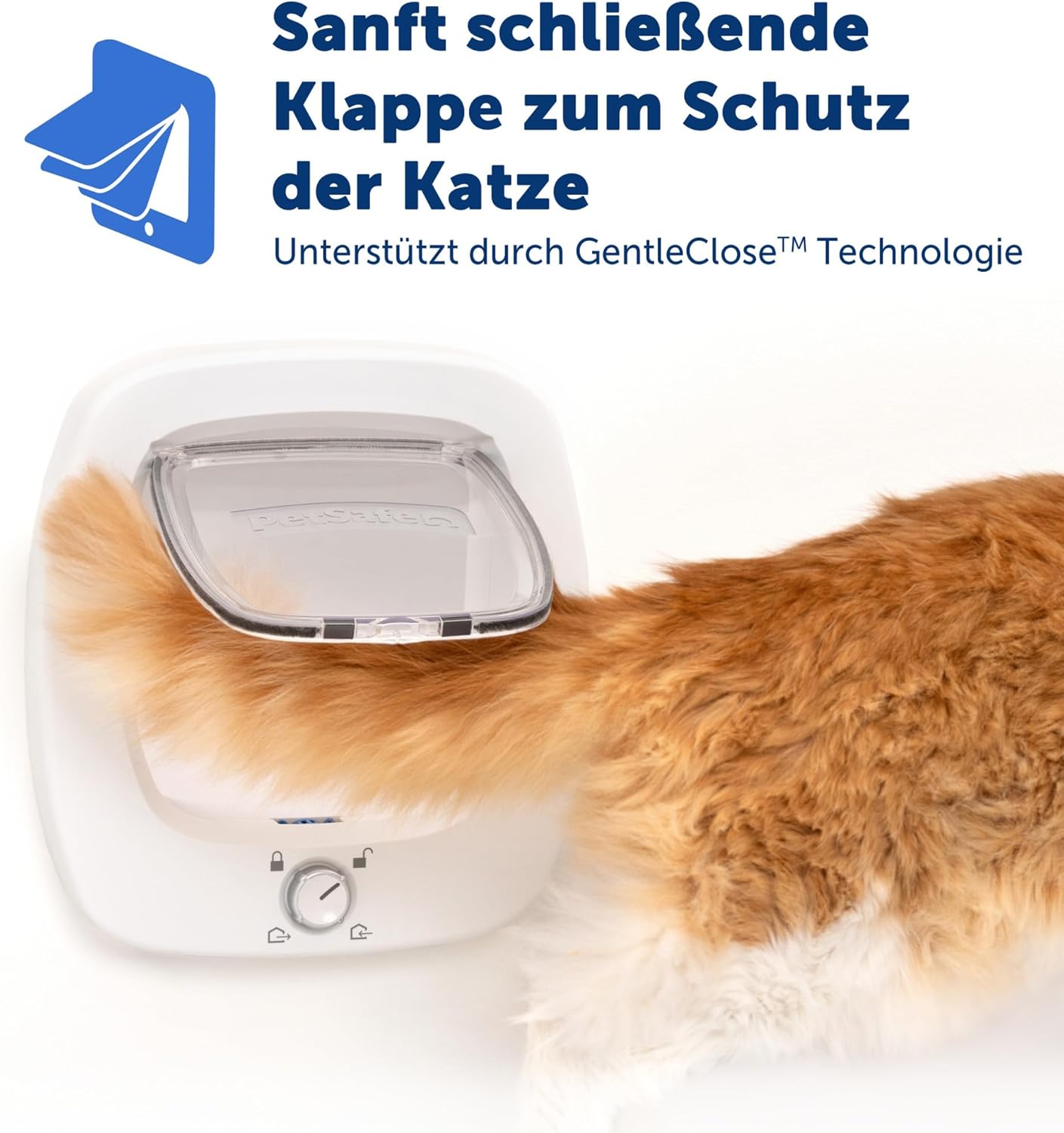 Grosse Katzenklappe mit 4 Verschlussoptionen, Weiss - 2.0, 11x12 inches