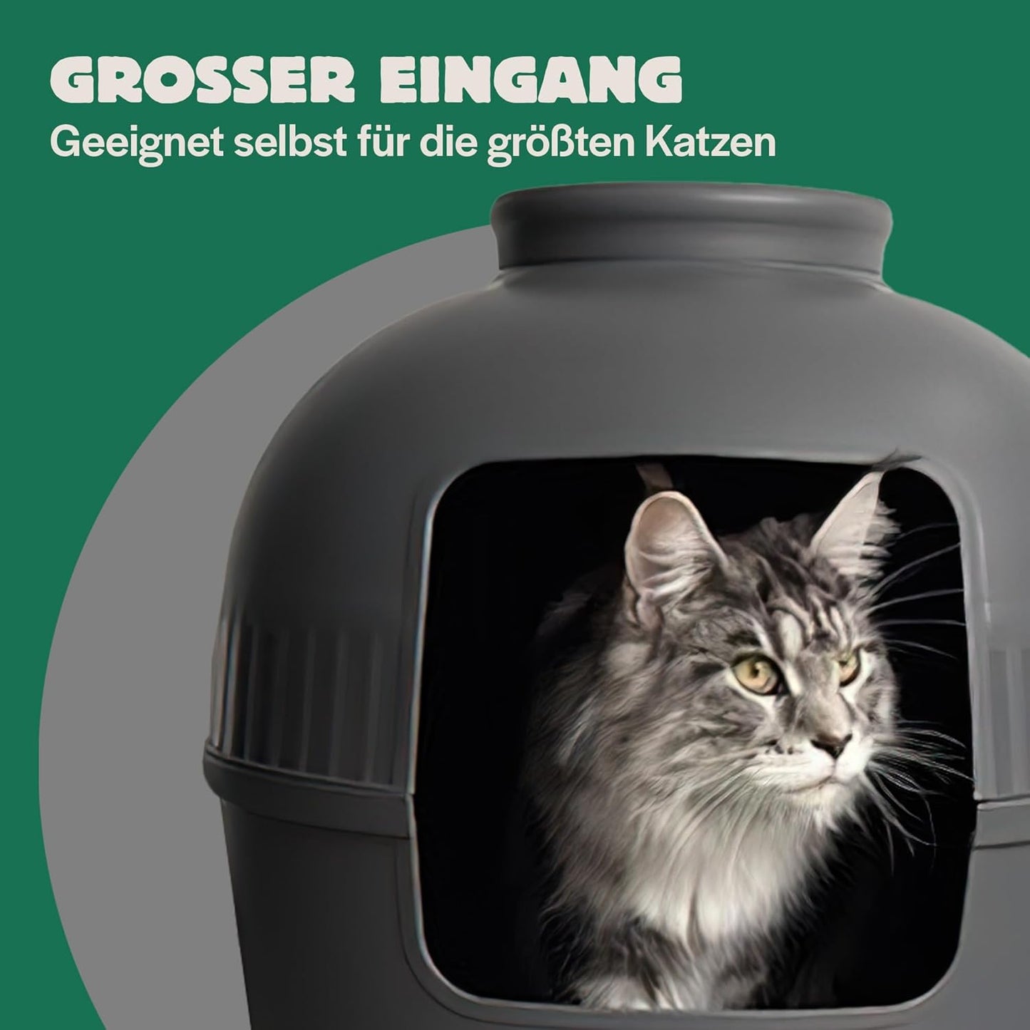 Versteckte Katzentoilette, Grau;anthrazit
