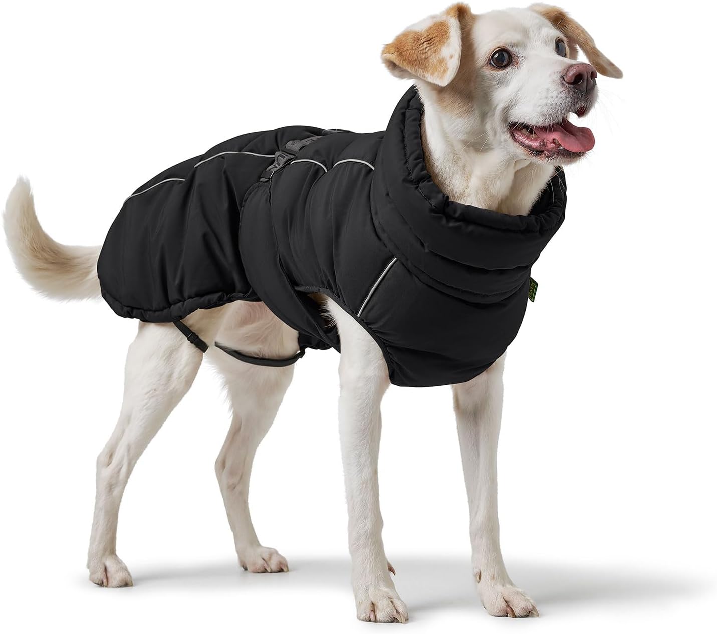 Stylischer Hundemantel, 80 schwarz