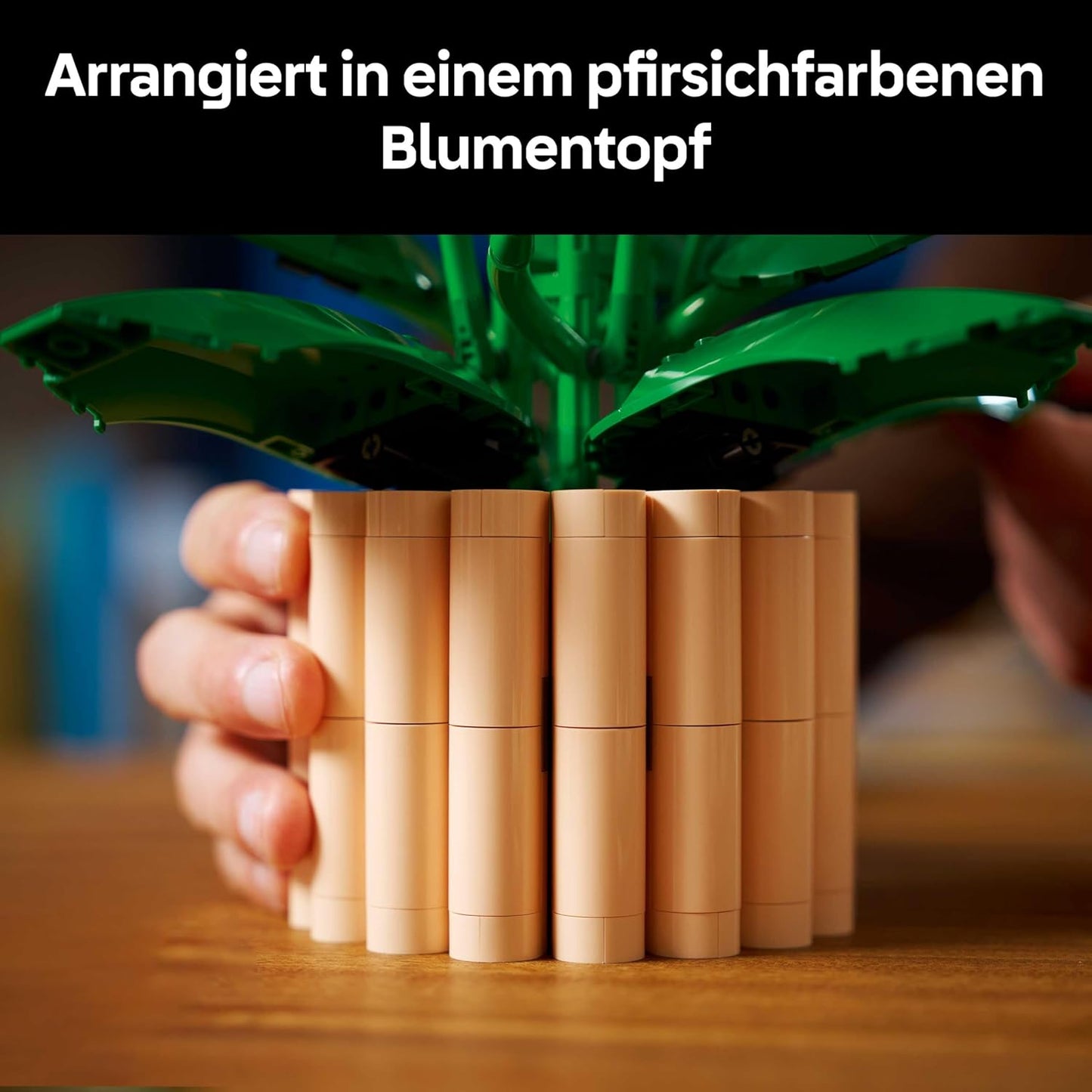 Friedenslilie