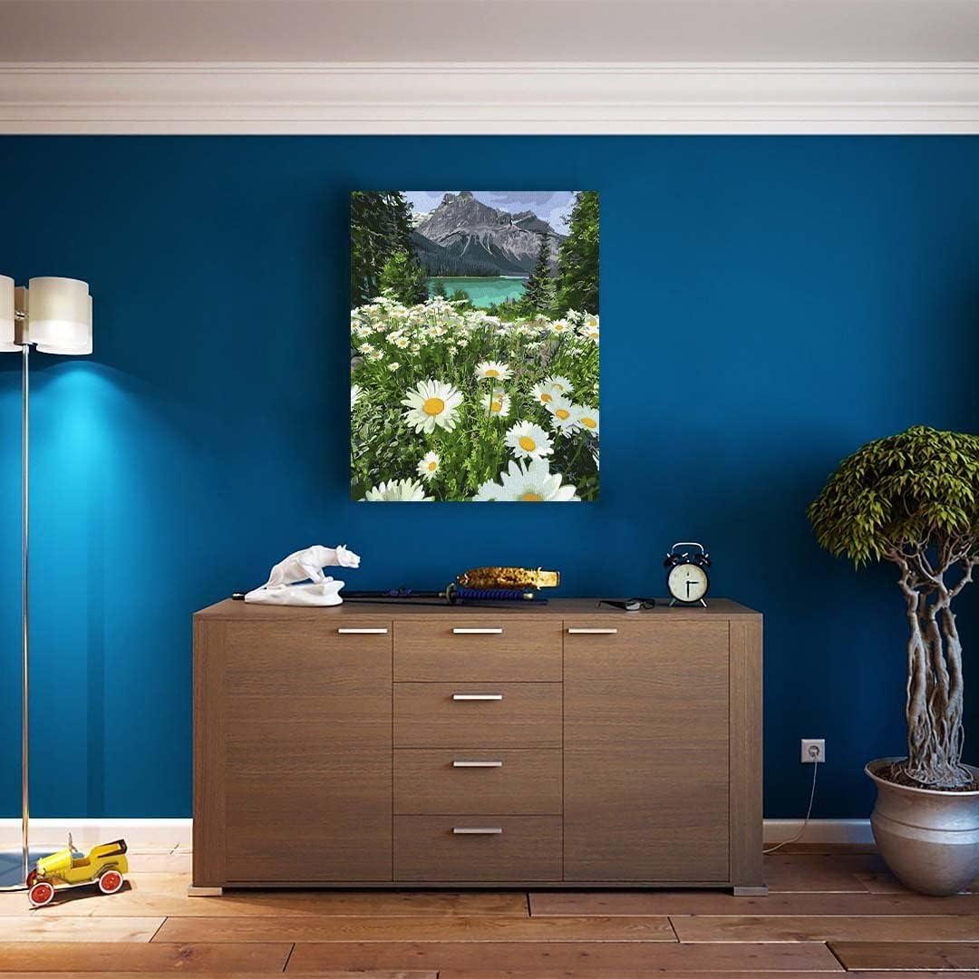 Malen nach Zahlen Set mit Rahmen Kamillenlandschaft, Kamillenlandschaft Mit Rahmen