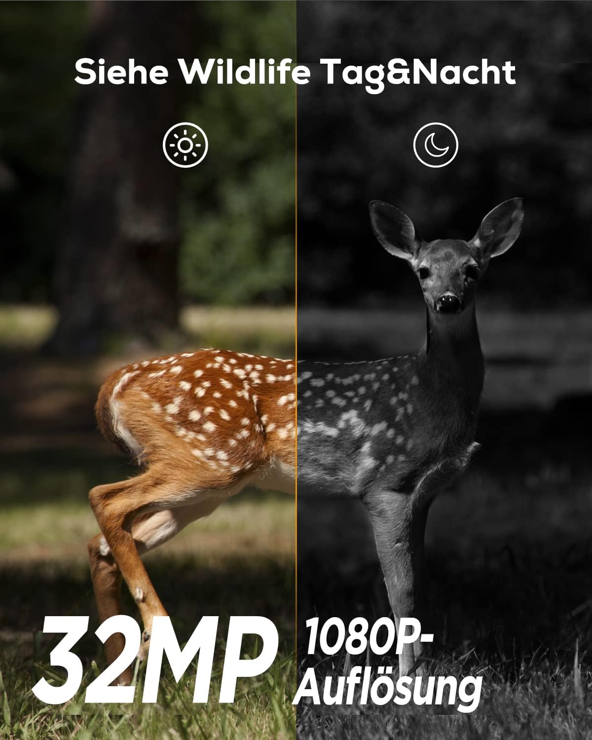 Wildkamera mit Bewegungsmelder und Nachtsicht
