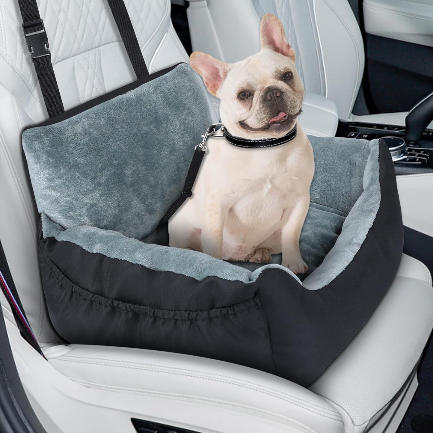 Hundeautositz
