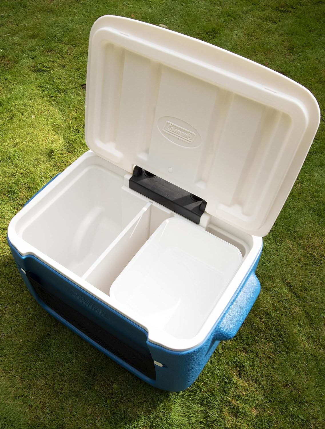 50QT Poly-lite