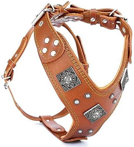 EROS Leder Brustgeschirr, XXL- für einen Brustumfang von 95 cm bis 145 cm Braun & Orange