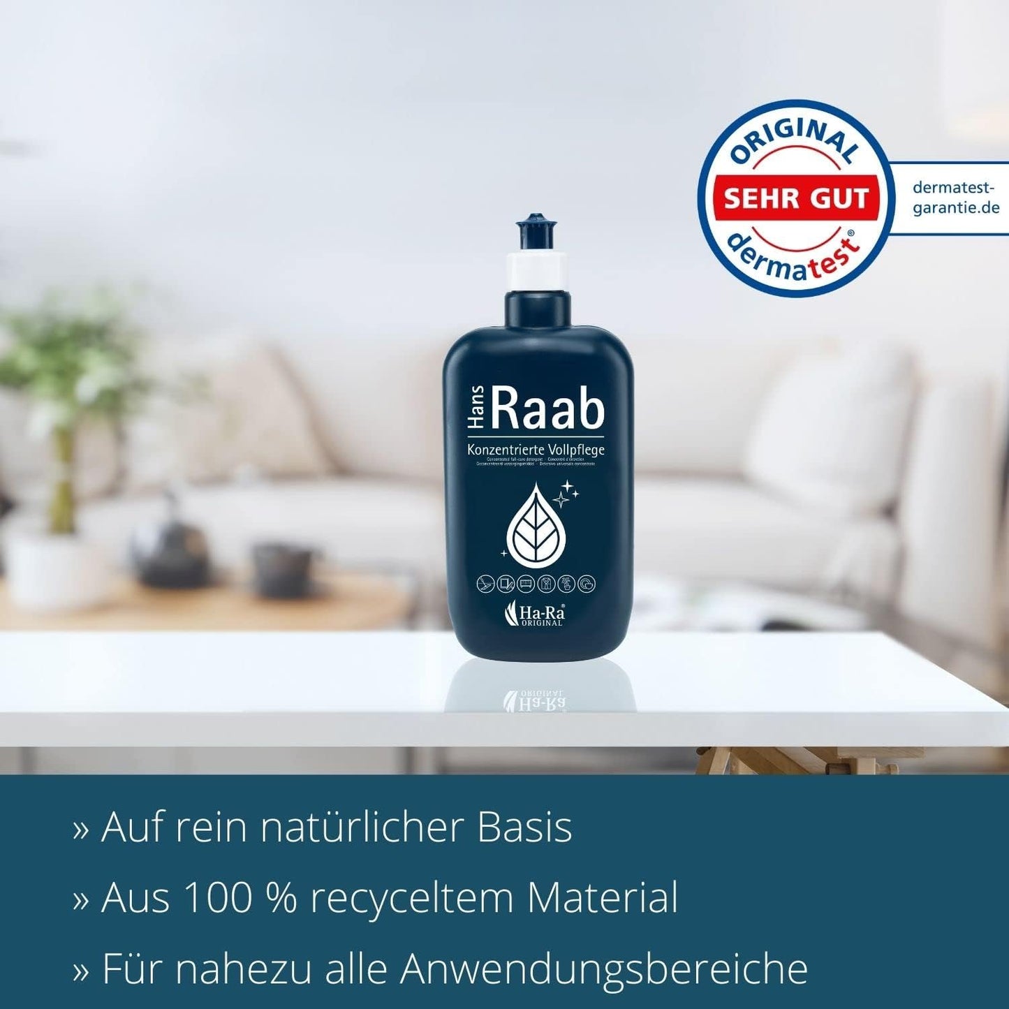 Fenster-Putz-Set