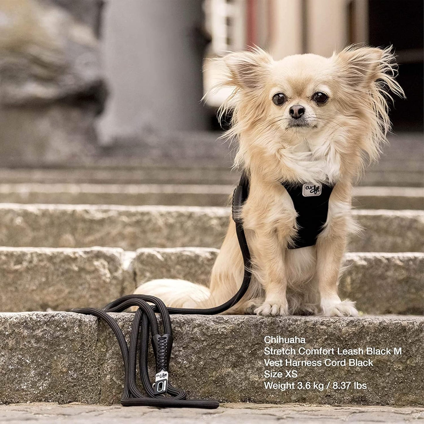 Stretch Comfort Leash, Moss L