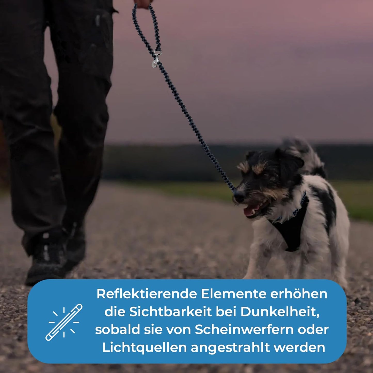 Reflektierende Hundeleine, schwarz - schwarz / 3 m Hunde ab 15 kg