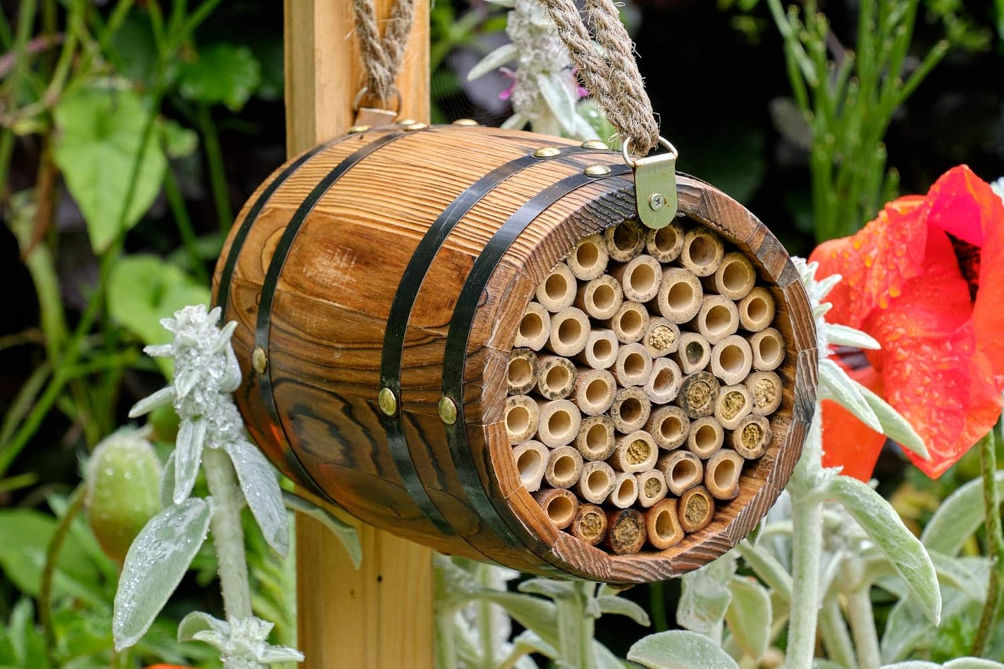 Wildbienenhotel Bienenfass, Einzelbett
