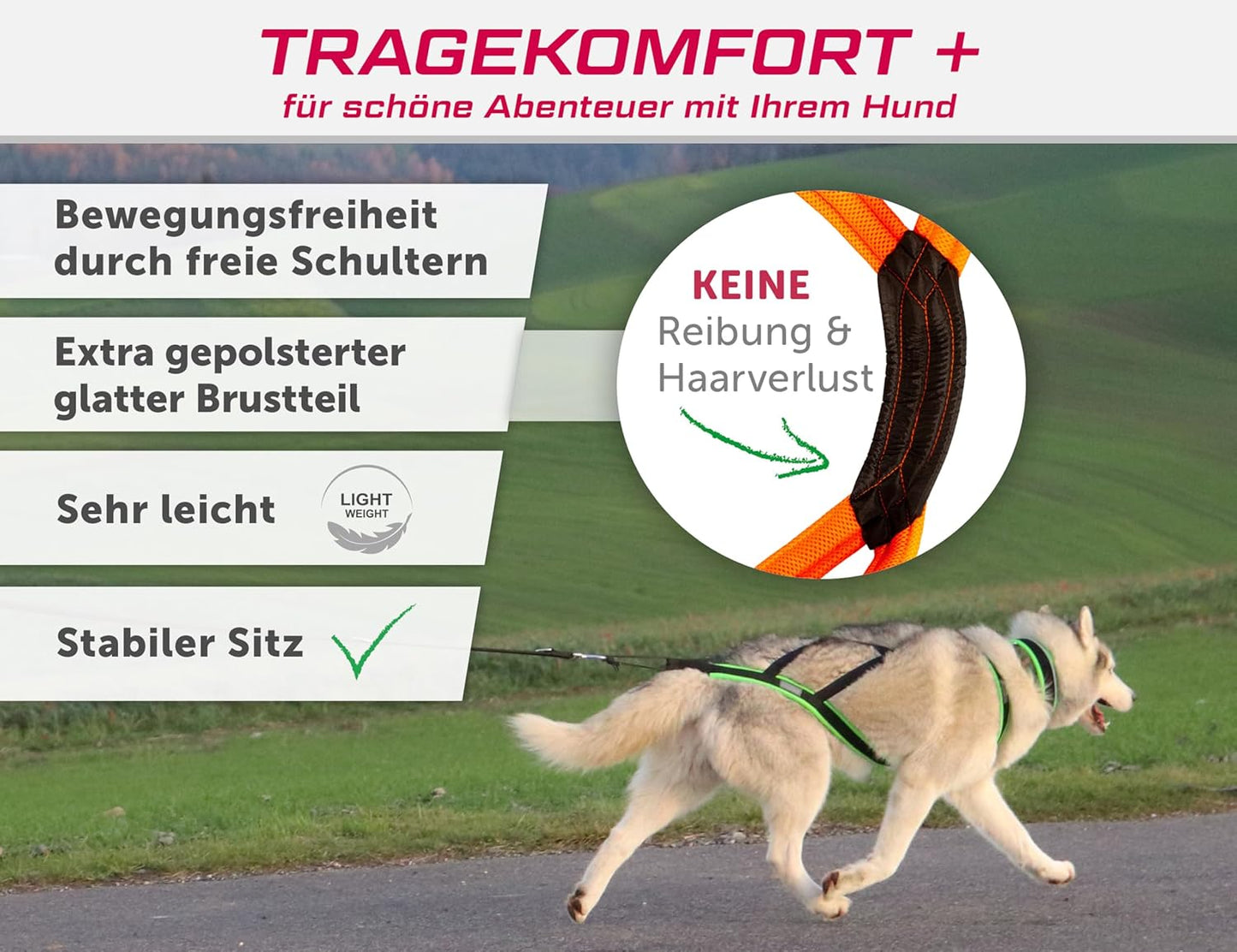 Hunde Zuggeschirr X Back für Hundesport, S