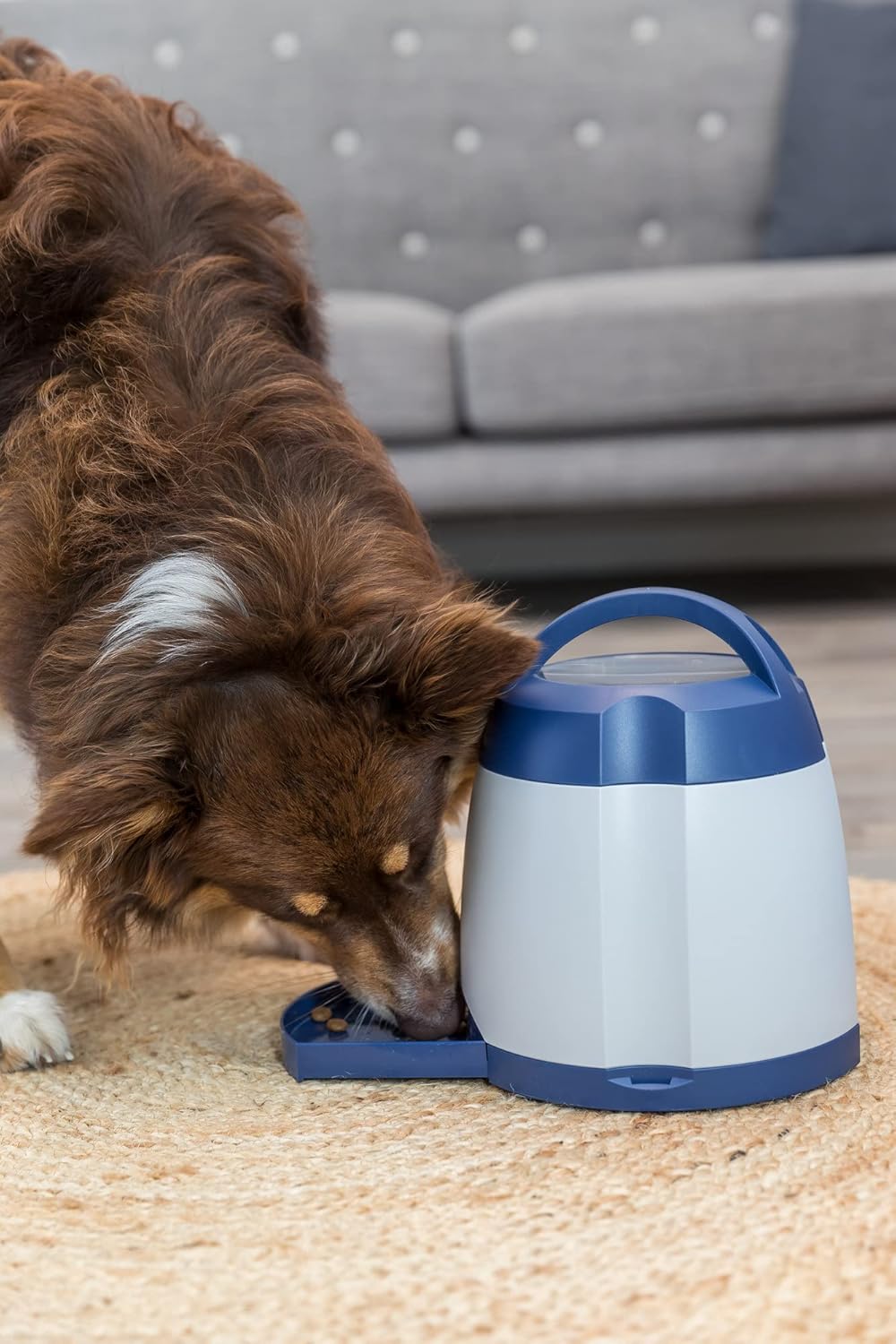 Dog Activity Memory Trainer 3.0 Intelligenzspielzeug