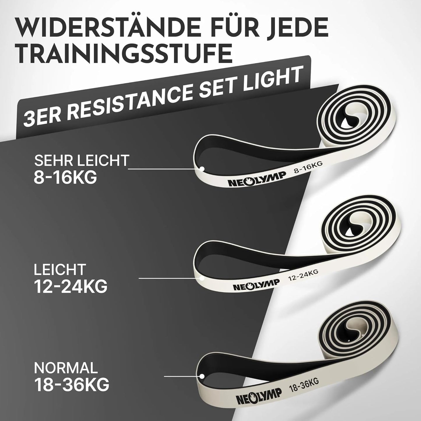 Calisthenics-Set für Zuhause mit Klimmzugstange, Calisthenics-Set Pro