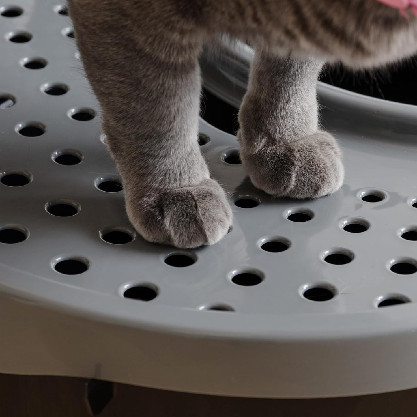 Geschlossene Katzen-Toilette mit Schaufel, XXL, Schwarz Mittel