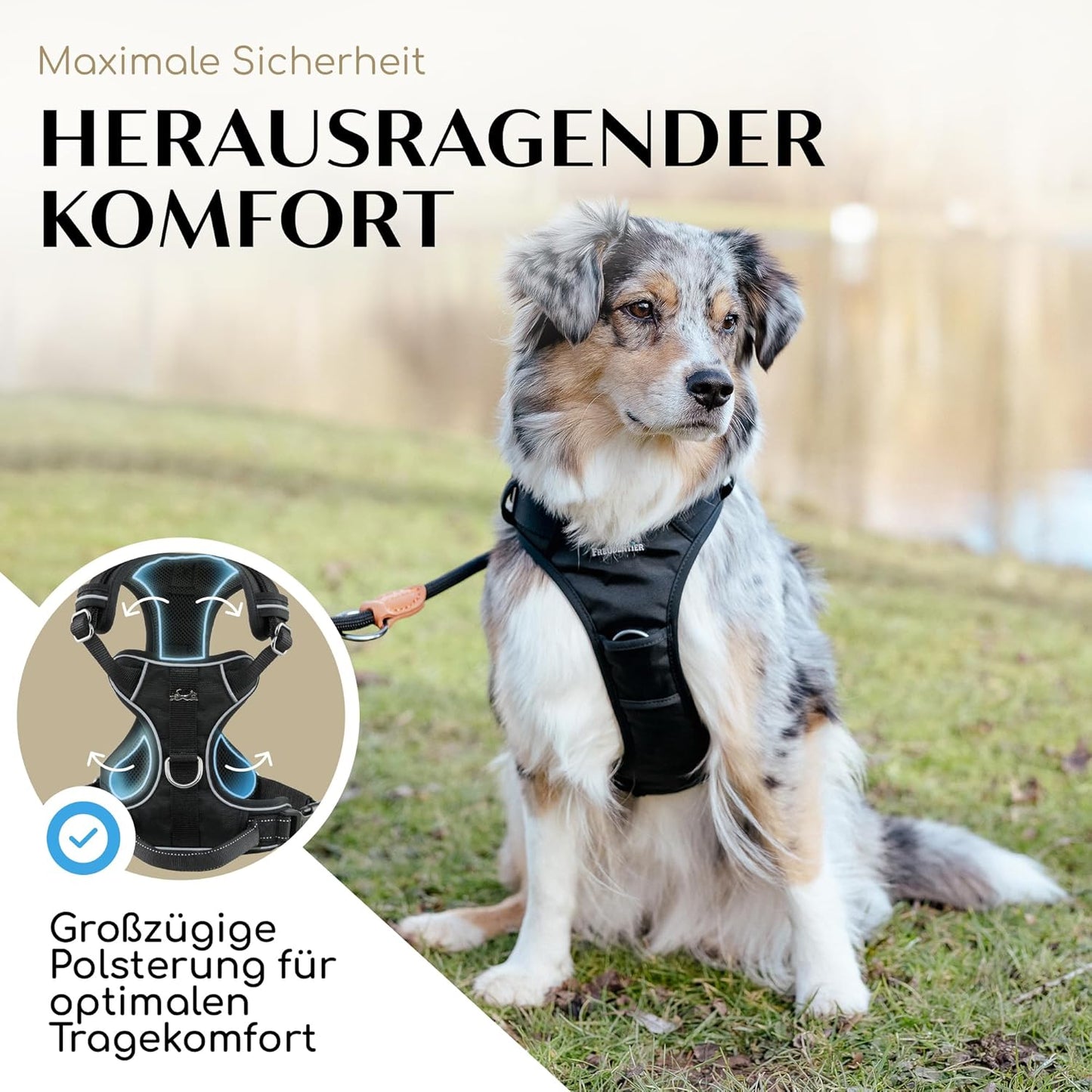 Hundegeschirr, S Black