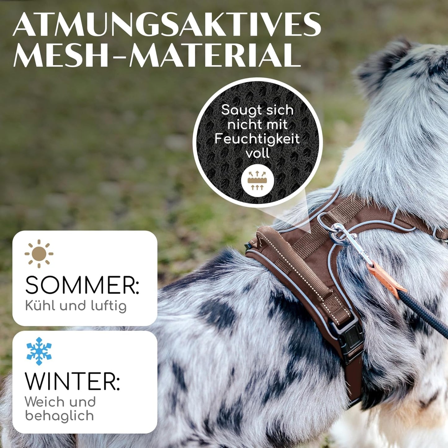 Hundegeschirr mit Griff, atmungsaktiv gepolstert, XS Braun