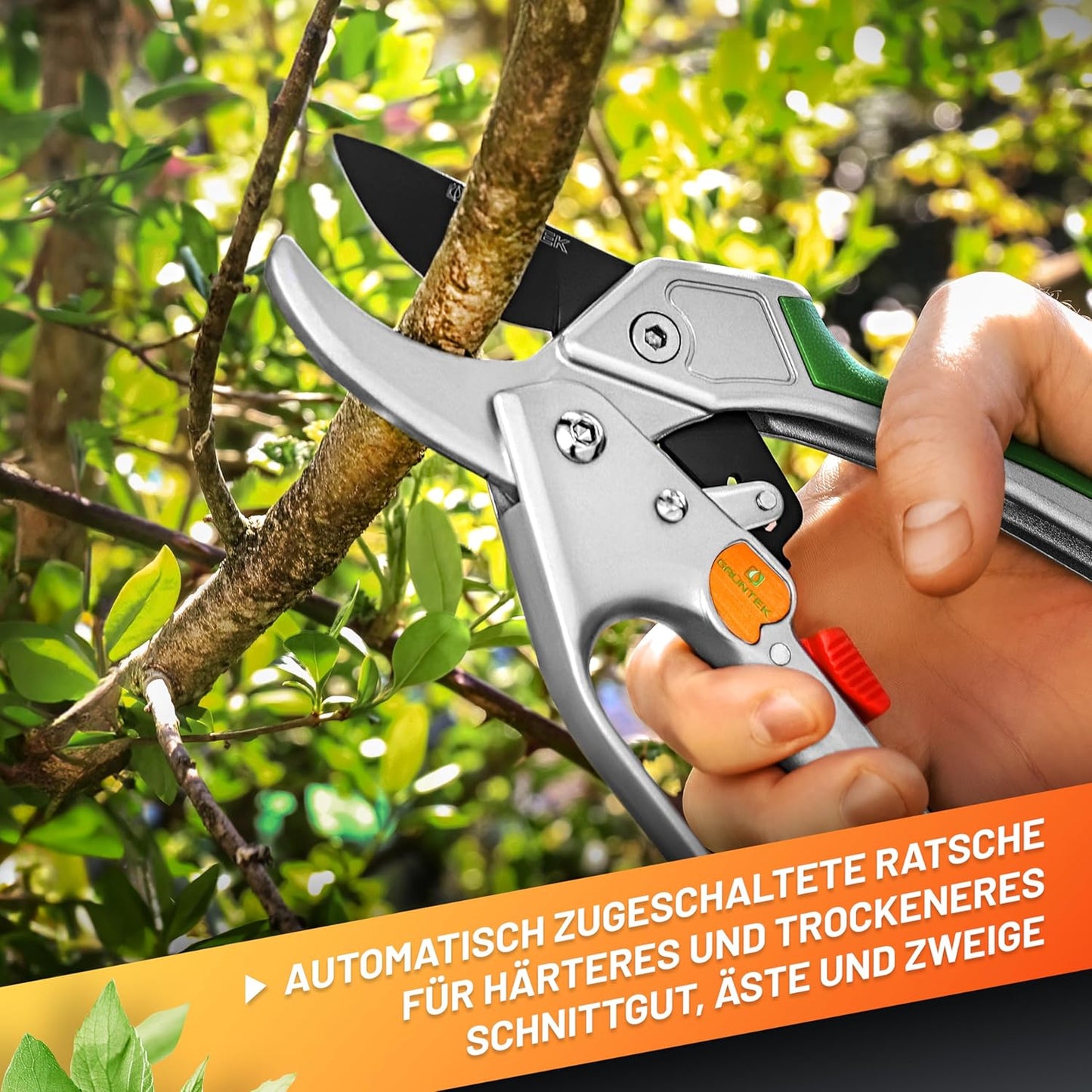 Kondor Astschere mit Ratschenmechanismus
