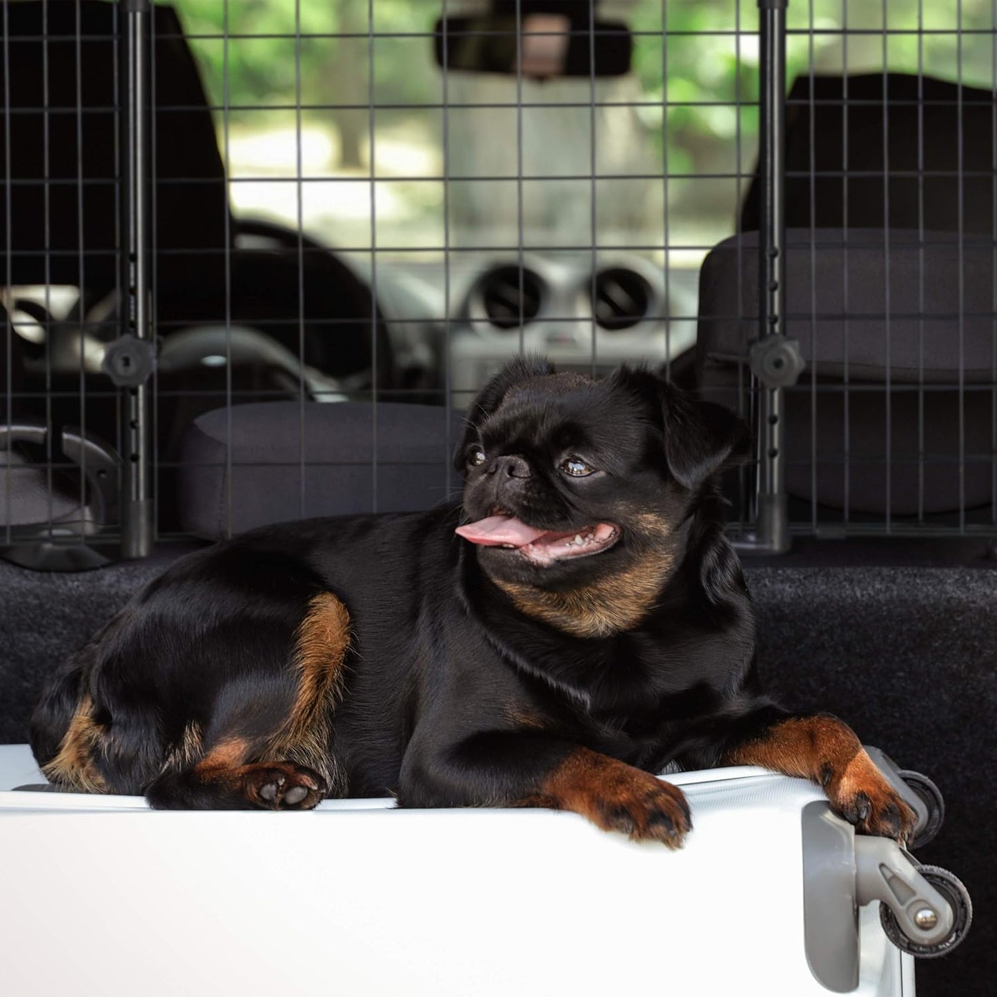 Universal Hundegitter für Autos