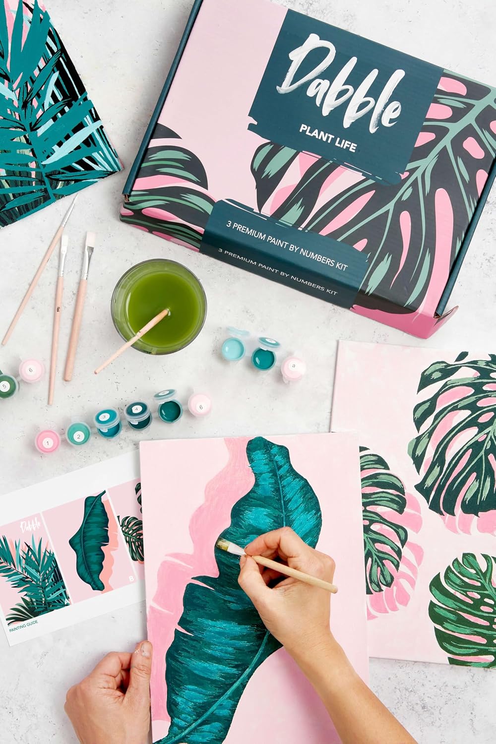 Malen nach Zahlen Set Plant Life, 3-teilig, Plant Life