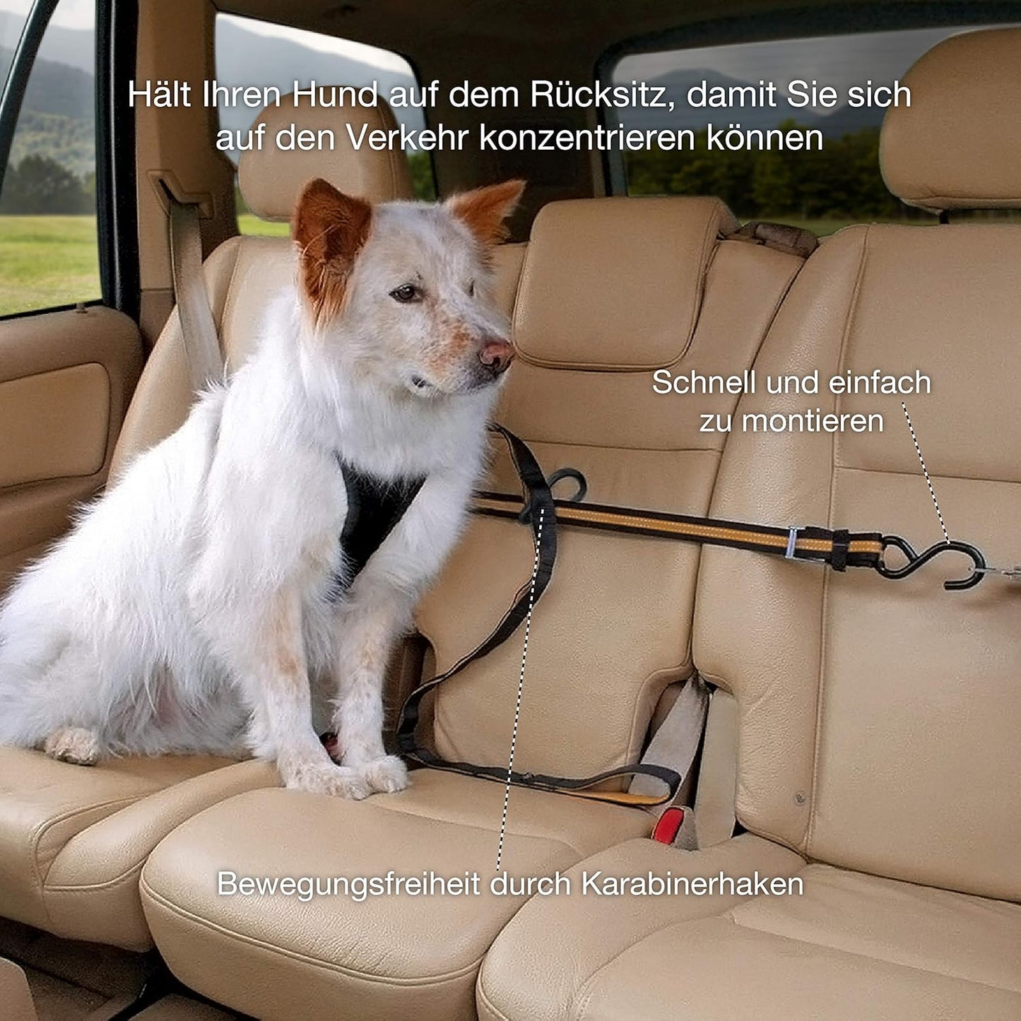 Auto-Sicherheitsgurt für Hunde mit Zip Line System, Zip Line - Karabiner Klip, Orange, Einzelpack