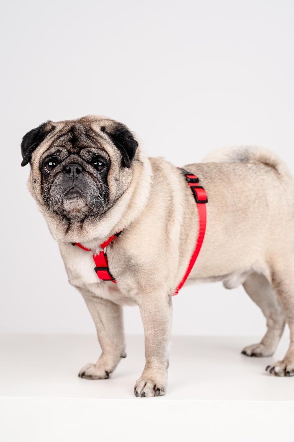 Guard - Ausbruchssicheres Hundegeschirr, M Rot