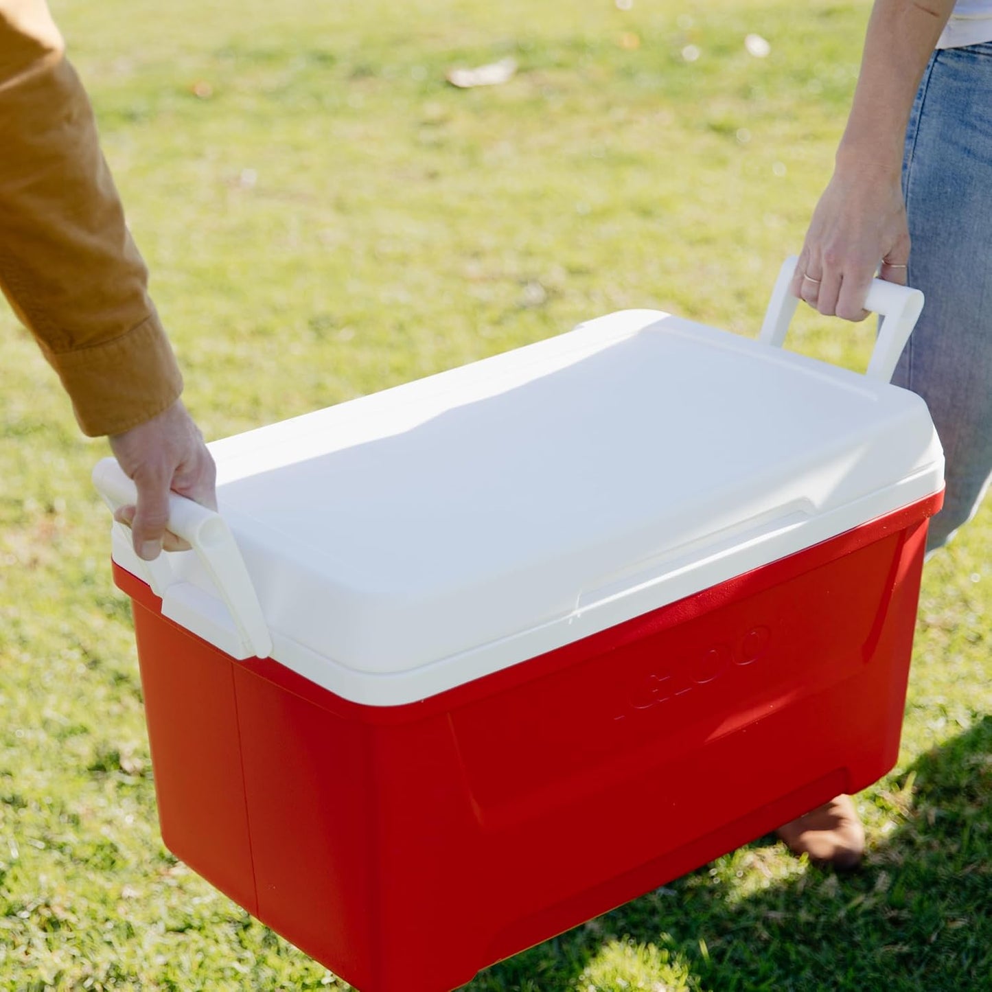 Laguna 48 Kühlbox, 48 L