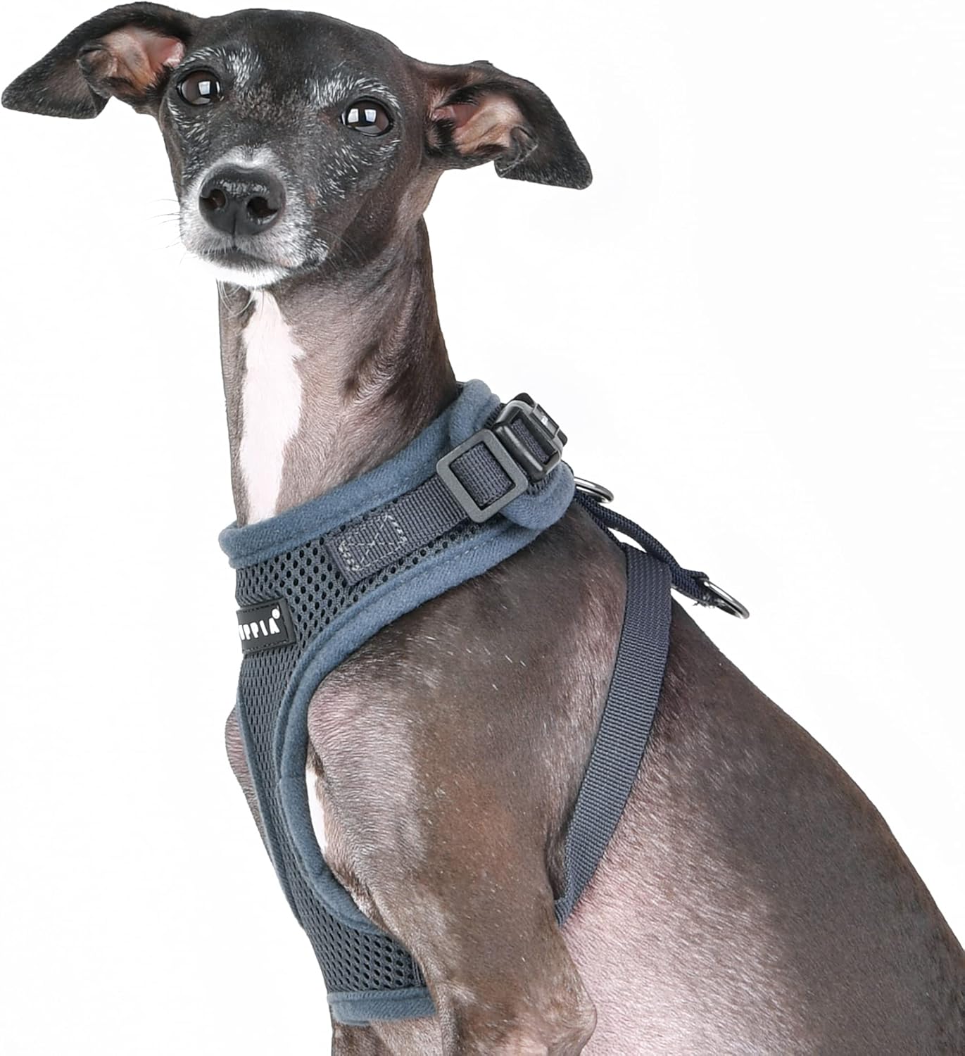 Soft Harness Hundegeschirr RITEFIT, Medium grau