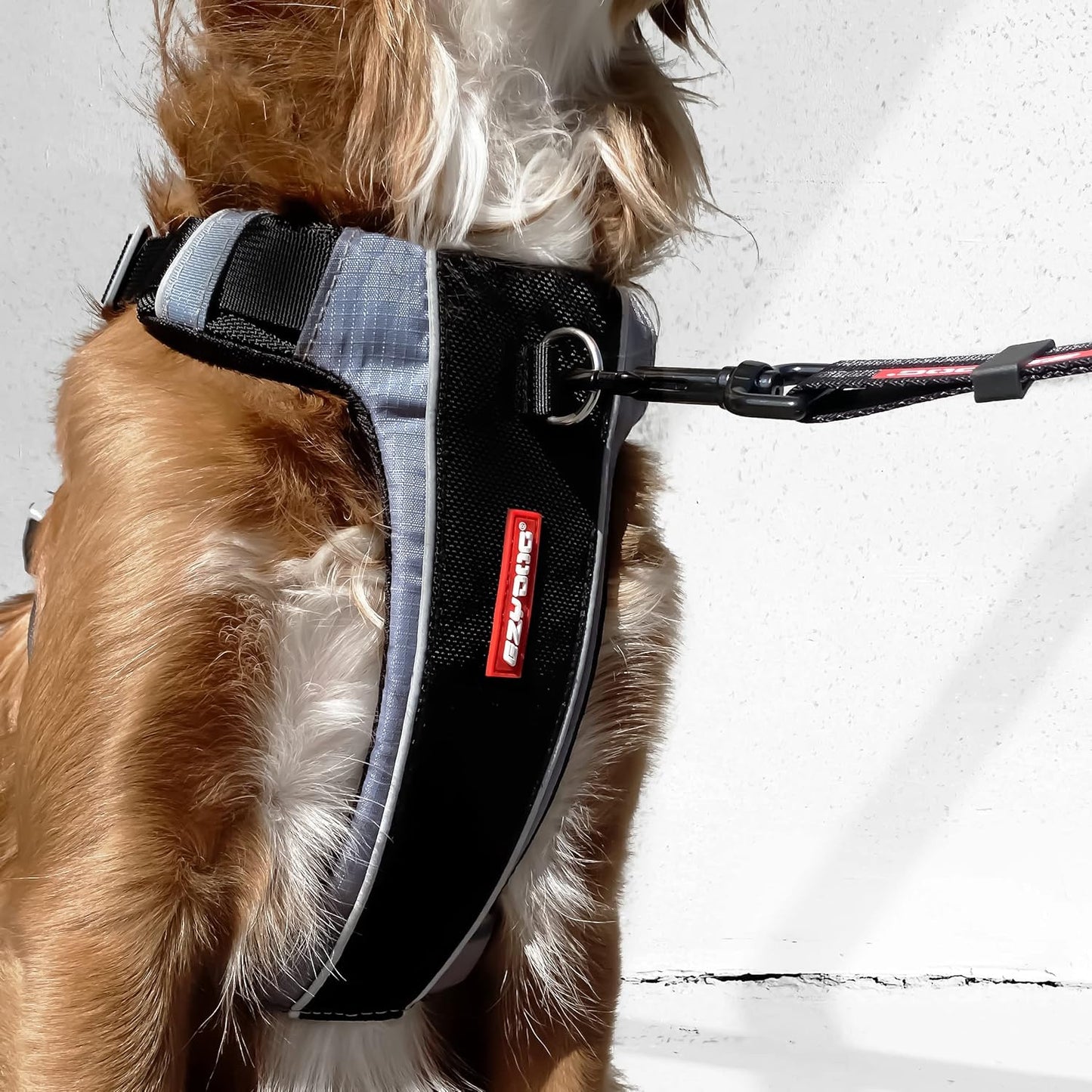 Hundegeschirr X-Link, M / Schwarz