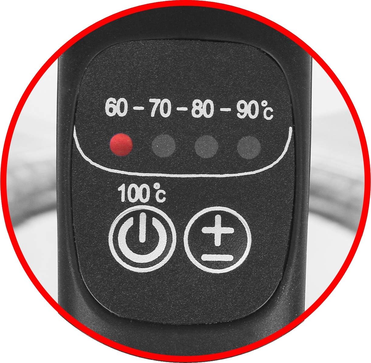 Wasserkocher mit Temperaturwahl (60-100°C), Single
